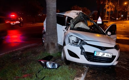 Manavgat'ta kontrolden çıkan otomobil palmiyeye çarptı: Sürücü yaralandı