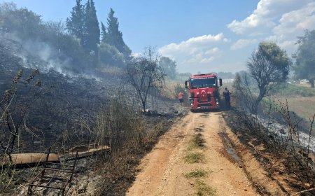 Serik'te yol kenarında çıkan yangın evlere sıçramadan söndürüldü