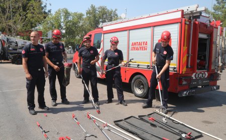 Antalya'da yılan alarmı! İtfaiyeye günde 10 ihbar geliyor