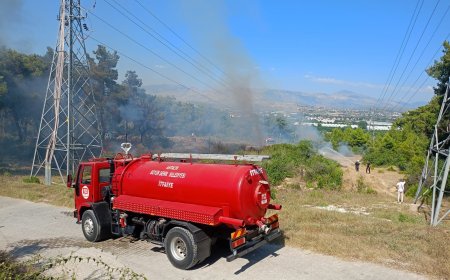 Manavgat'ta orman yangını paniği! 3 dönüm alan zarar gördü