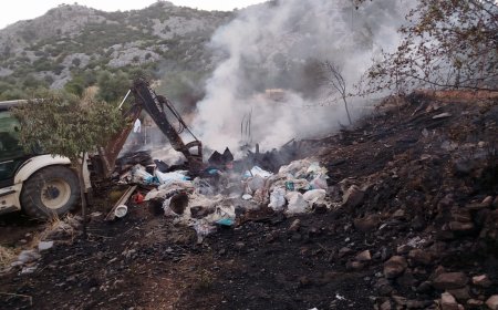 Döşemealtı'nda Orman Yangını Paniği: Mahalleli ve Ekipler Seferber Oldu
