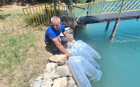 Manavgat'ta İç Sulara 400 Bin Sazan Yavrusu Bırakıldı