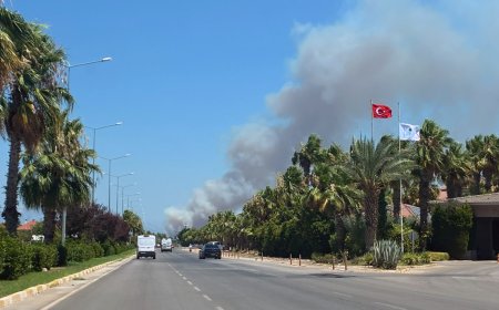Kepez'de Orman Yangını! Çamlıca Mahallesi'nde Alevlere Havadan ve Karadan Müdahale