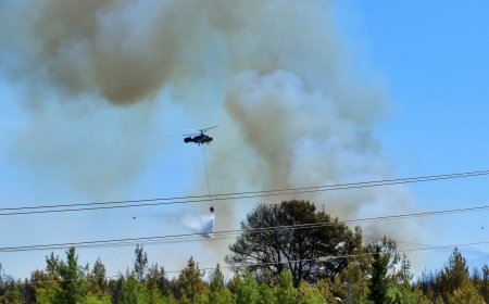 Antalya'daki Orman Yangını 4,5 Saatte Kontrol Altına Alındı