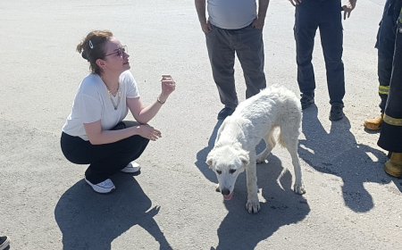 Manavgat'ta Kanalda Mahsur Kalan Köpek Günler Sonra Kurtarıldı