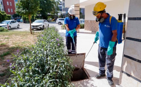 Antalya'da Vektörle Mücadele Seferberliği! Büyükşehir 19 İlçede Sahada