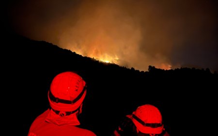 Kaş'taki orman yangınına ikinci günde de yoğun müdahale