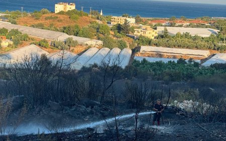 Alanya'daki yangın kontrol altına alındı, soğutma çalışmaları sürüyor