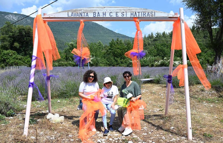 Kemer'de Lavanta Bahçesi Ziyaretçilerini Bekliyor! Gedelme Yaylası'nda Mor Turizm Başlıyor