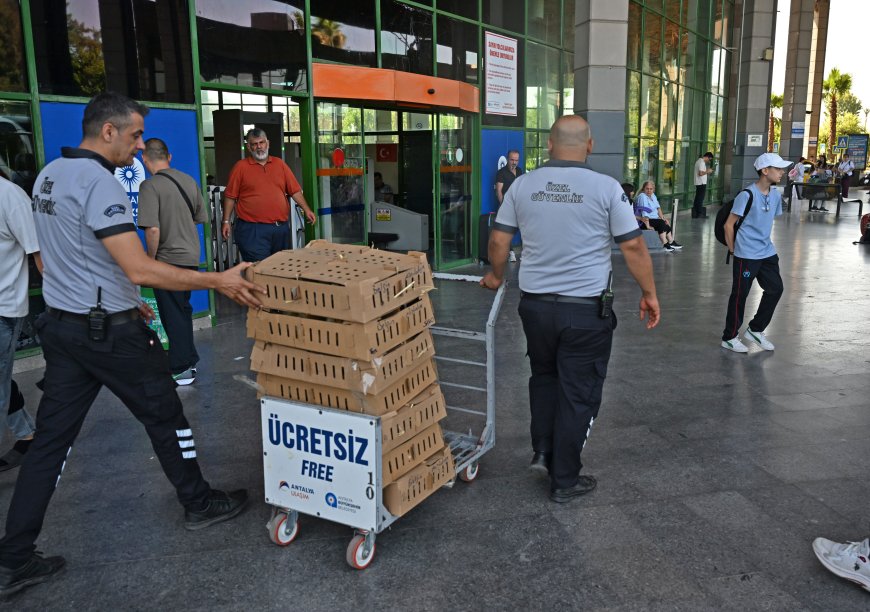 Antalya Otogarında 700 Kaçak Civciv Ele Geçirildi