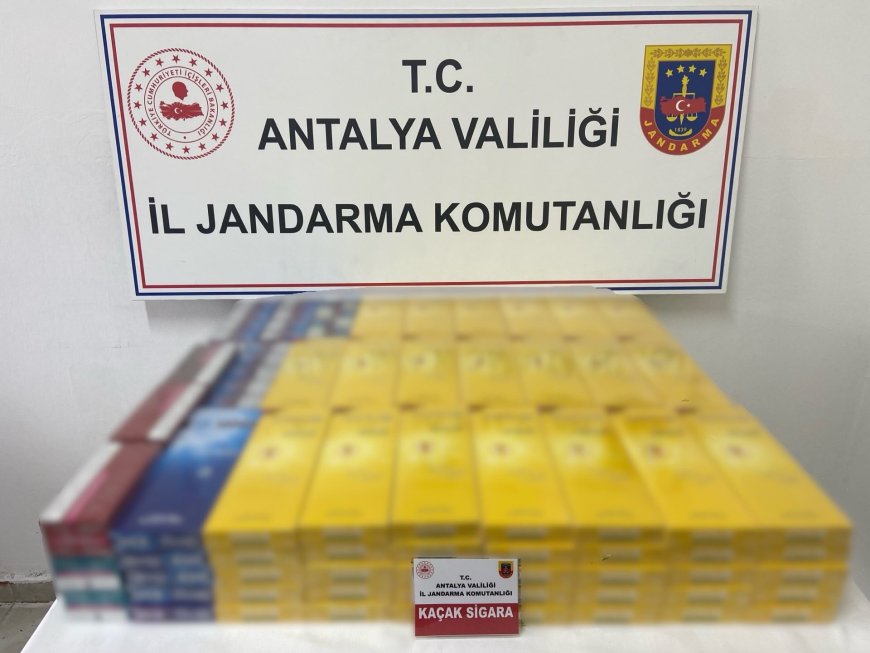 Gazipaşa’da Jandarmadan Kaçak Sigara Operasyonu: 145 Karton Ele Geçirildi