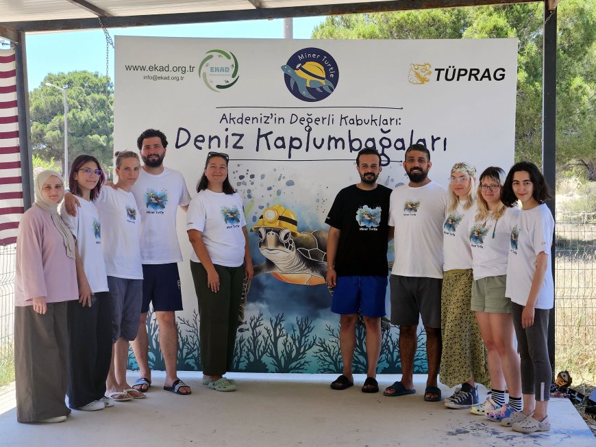 Caretta Carettalar İçin Kritik Sezon: Kızılot Kumsalında Yuva Sayısı 790'ı Aştı