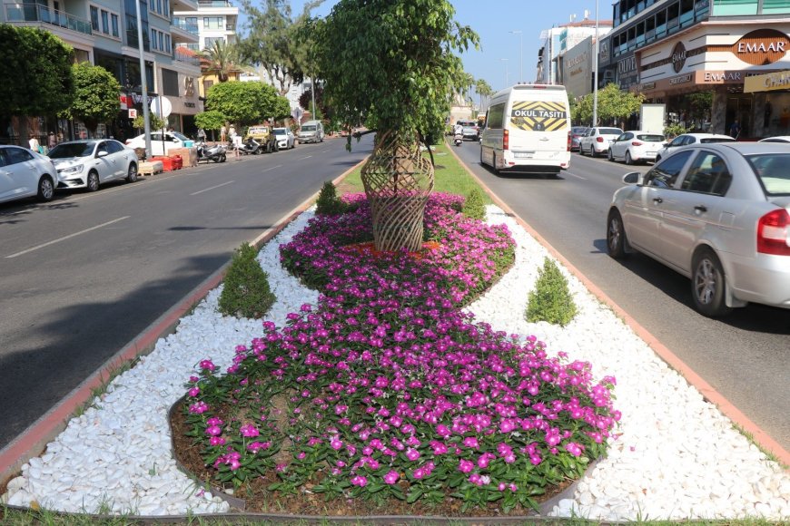 Alanya’da yangın riskine karşı yeşil alanlarda yoğun bakım çalışması