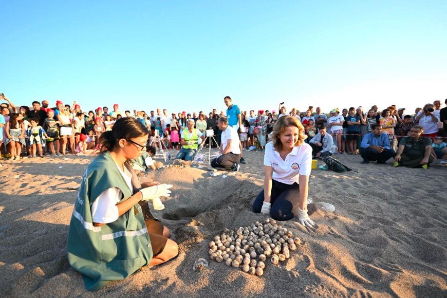Antalya'da Caretta Caretta Yavruları Mavi Akdeniz İnisiyatifi ile Denizle Buluştu