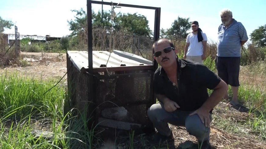 Antalya'da Kümese Dadanan Tilkiyi Battal Gazi Filminden Esinlenerek Yaptığı Kapanla Yakaladı