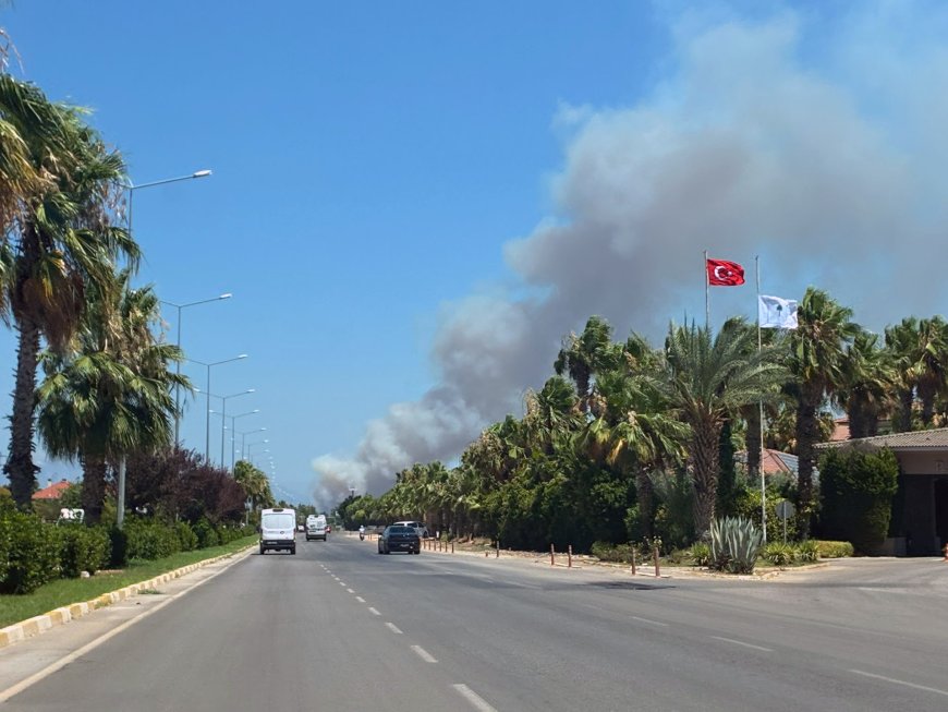 Kepez'de Orman Yangını! Çamlıca Mahallesi'nde Alevlere Havadan ve Karadan Müdahale