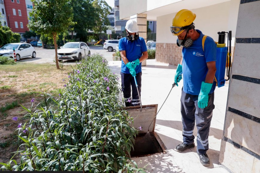 Antalya'da Vektörle Mücadele Seferberliği! Büyükşehir 19 İlçede Sahada
