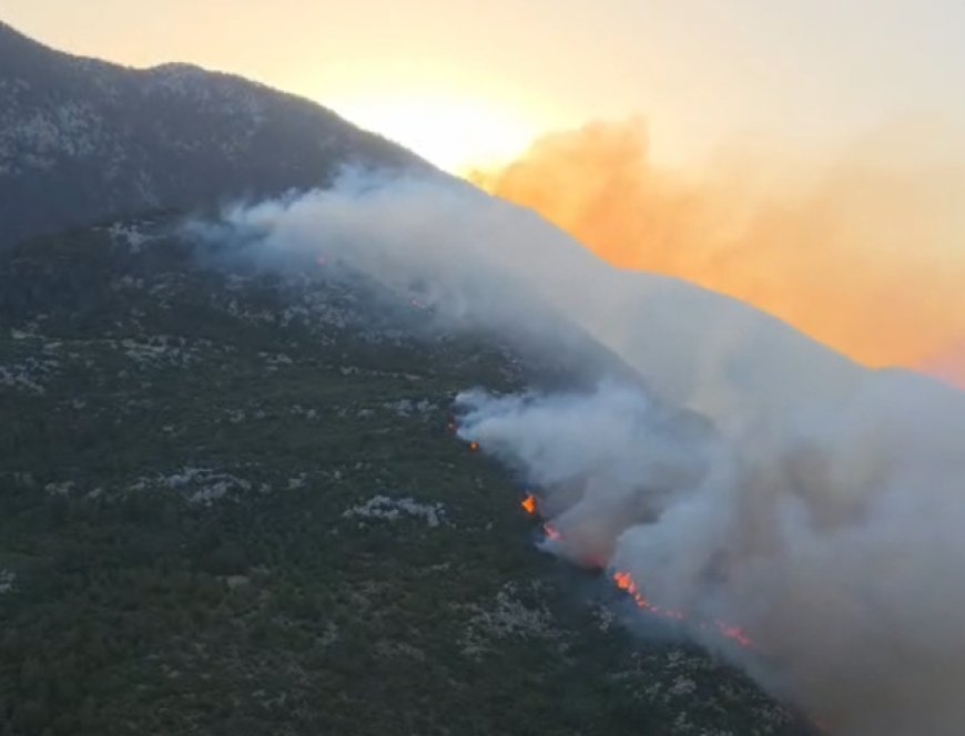 Antalya Kaş'ta orman yangını! Ekipler havadan ve karadan müdahale ediyor