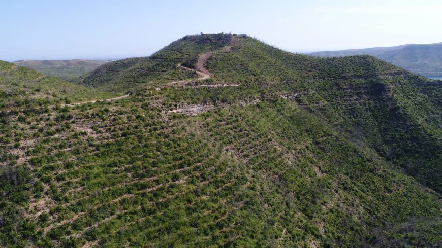 Antalya Orman Bölge Müdürlüğü paylaştı: Manavgat'ın değişimi göz kamaştırdı