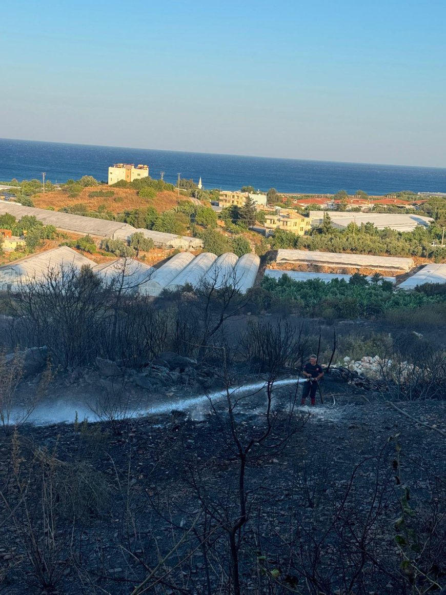 Alanya'daki yangın kontrol altına alındı, soğutma çalışmaları sürüyor