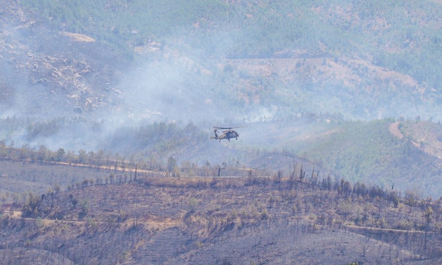 Antalya'da Yangınla Mücadele Sürüyor: Hava Araçları Alanya'ya Yönlendirildi