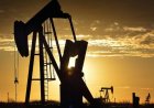 Küresel Petrol Piyasasında Yeni Dönem: OPEC+'tan Üretim Hamlesi