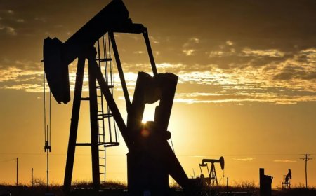 Küresel Petrol Piyasasında Yeni Dönem: OPEC+'tan Üretim Hamlesi