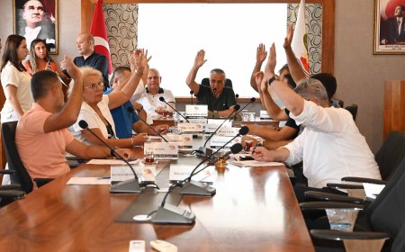 Kemer Belediyesi'nden yeni araç yatırımı: Veteriner hizmetlerine panelvan geliyor