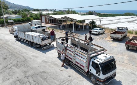Büyükşehir’den yangınzede üreticilere sera naylonu desteği