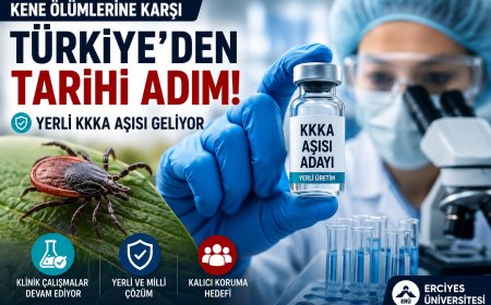 Kene Ölümlerine Karşı Türkiye’den Umut Veren Gelişme! Yerli KKKA Aşısında Kritik Aşama