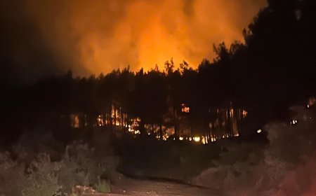 Alanya’da orman yangını: 7 dönümlük alan zarar gördü