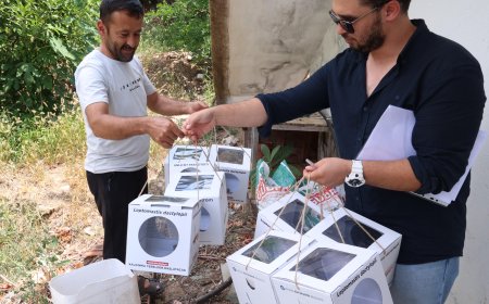Büyükşehir’den 800 Dekar Araziye Faydalı Böcek Desteği