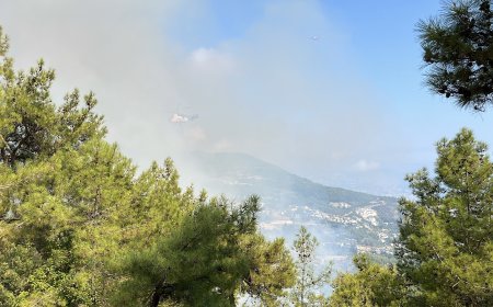 Antalya’da Aynı Anda 2 Orman Yangını! Alanya ve Konyaaltı’nda Ekipler Seferber