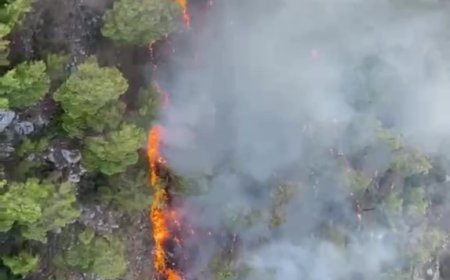 Kemer’de Orman Yangını! Ekipler Havadan ve Karadan Müdahale Ediyor