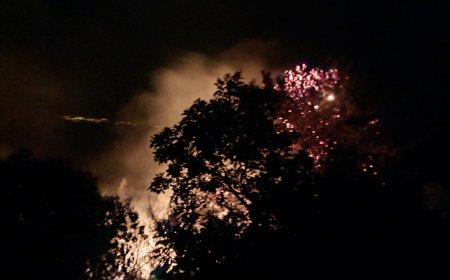 Alanya’da Gece Yarısı Orman Yangını: Ekipler Sabah Saatlerinde Kontrol Altına Aldı