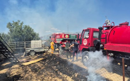 Manavgat’ta Seleukeia Antik Kenti Yakınında Yangın Çıktı