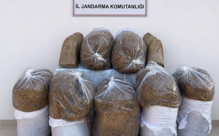 Antalya’da Kaçakçılık Operasyonu: 785 Kilogram Kıyılmış Kaçak Tütün Ele Geçirildi