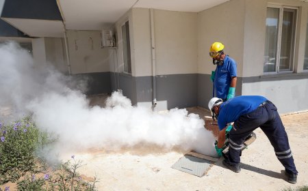 Antalya’da Sinek ve Haşerelere Karşı Mücadele Hız Kesmeden Sürüyor