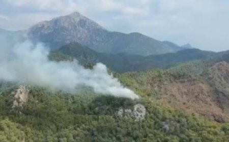 Kemer’de Orman Yangını: Havadan ve Karadan Müdahale Başlatıldı