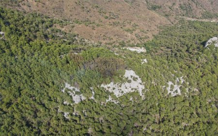 Kemer Çıralı’daki Orman Yangını Kontrol Altına Alındı