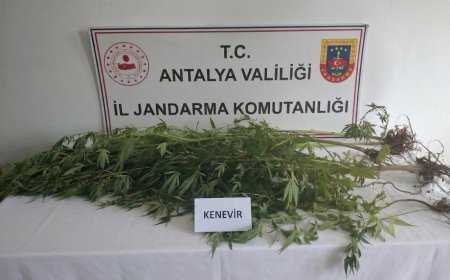 Alanya’da Uyuşturucu Operasyonu: 745 Gram Esrar ve 5 Kök Kenevir Ele Geçirildi