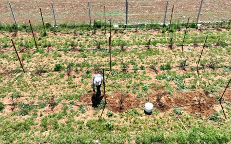 Antalya’da Çocuklara 7 Ayda 450 Bin Litre Halk Süt Desteği