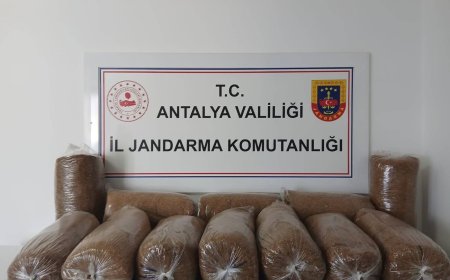 Alanya’da 72 Kilo Açık Sarmalık Tütün Ele Geçirildi