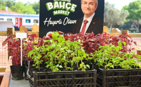 Kepez’de Yerli ve Uygun Fidan Dönemi: Bahçe Market Açılıyor