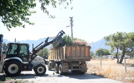 Konyaaltı’nda Yangın Riskine Karşı Budama Çalışması Sürüyor