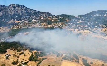 Antalya Kaş’ta Orman Yangını Çıktı: Ekipler Seferber Oldu