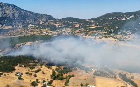 Kaş’ta Orman Yangını 2,5 Saatte Kontrol Altına Alındı
