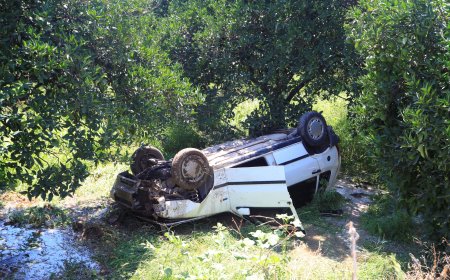 Kediye Çarpmamak İçin Manevra Yaptı, Portakal Bahçesine Uçtu