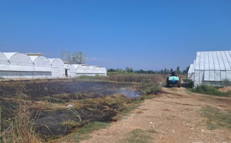 Serik’te Otluk Alanda Yangın: Seraların Bir Kısmı Zarar Gördü