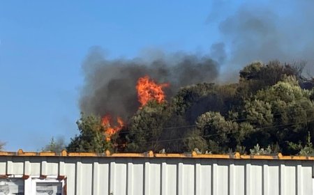 Aksu’da Orman ve Zeytinlik Alanda Yangın: Ekipler Seferber Oldu